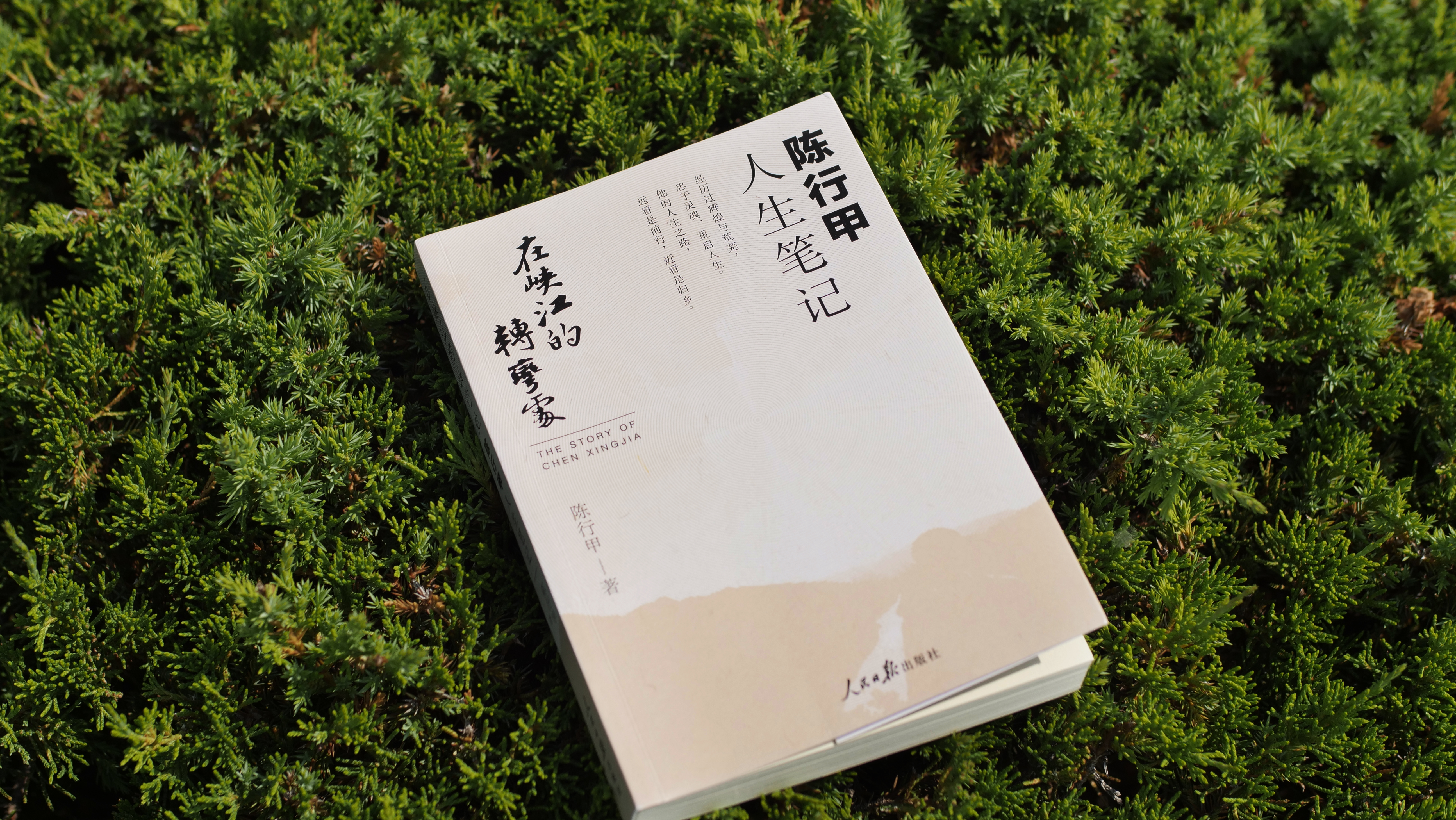 _TXX1602.JPG